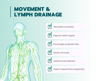 Boost Health with Movement & Lymph Drainage