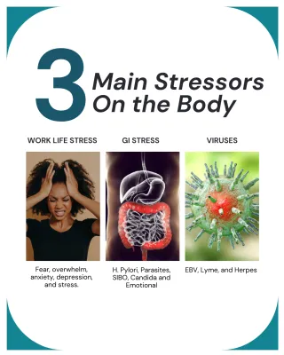 Understanding the 3 Main Body Stressors