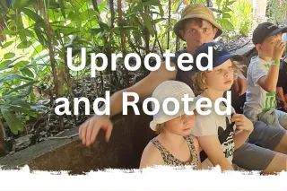#12 Uprooted and Rooted