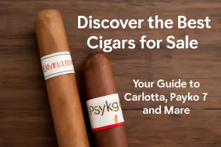 Discover the Best Cigars for Sale: Your Guide to Carlotta, Psyko 7, and More
