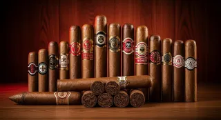 Best Humidors & Cigars: Your Guide to Top Smoke Shops
