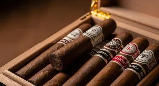 Exploring Premium Cigars: A Beginner’s Guide