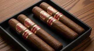 Carlotta Cigars: Premium Quality, Rich Flavors & Where to Buy (2025 Guide)