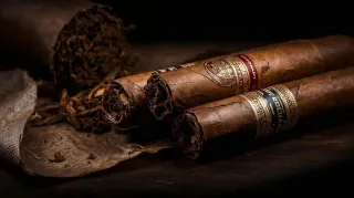Create Your Own Cigar Brand: A Complete Guide