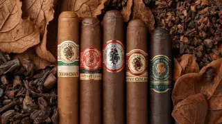 Best Cheap Cigars Under $10: Top Online Deals You Can't Miss
