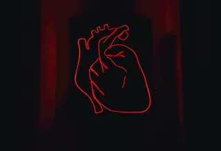 Bleeding hearts