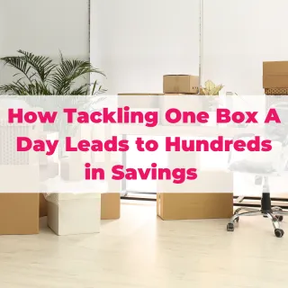 How Tackling One Box A Day Leads to Hundreds in Savings