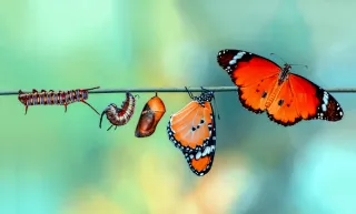 When Life Changes, Change With It—And Thrive
