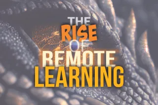 The Rise of Remote Learning: Understanding IDEA, FAPE, and Online Education