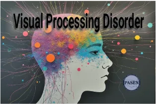 Understanding Visual Processing Disorders