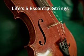 Living in Harmony with Life's 5 Essential Strings