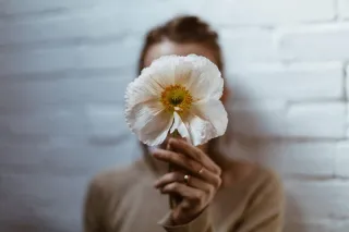 CBD and Hormonal Balance