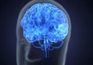 Food and your brain.