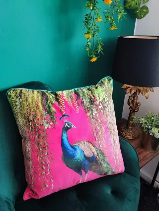 A Cushion Full of Wisdom: Lessons on Fear, Growth, and Freedom