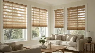 Explore Different Types of Blinds for Living Room Comfort