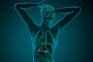 From Wiped Out to Recharged: Real Talk on Healing Adrenal Burnout