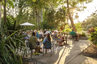 Experience Evenings in Bloom: Sunset Wednesdays & Friday After 5 at Naples Botanical Garden
