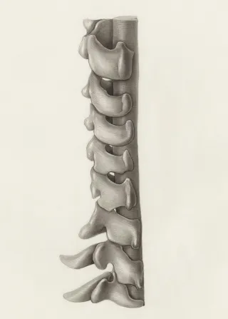 Movements For A Healthy & Happy Spine