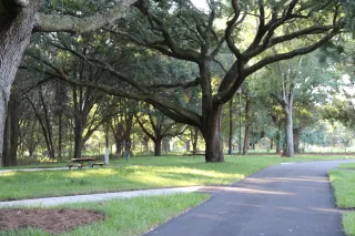 🌳 Bill Frederick Park at Turkey Lake: Orlando’s Outdoor Escape