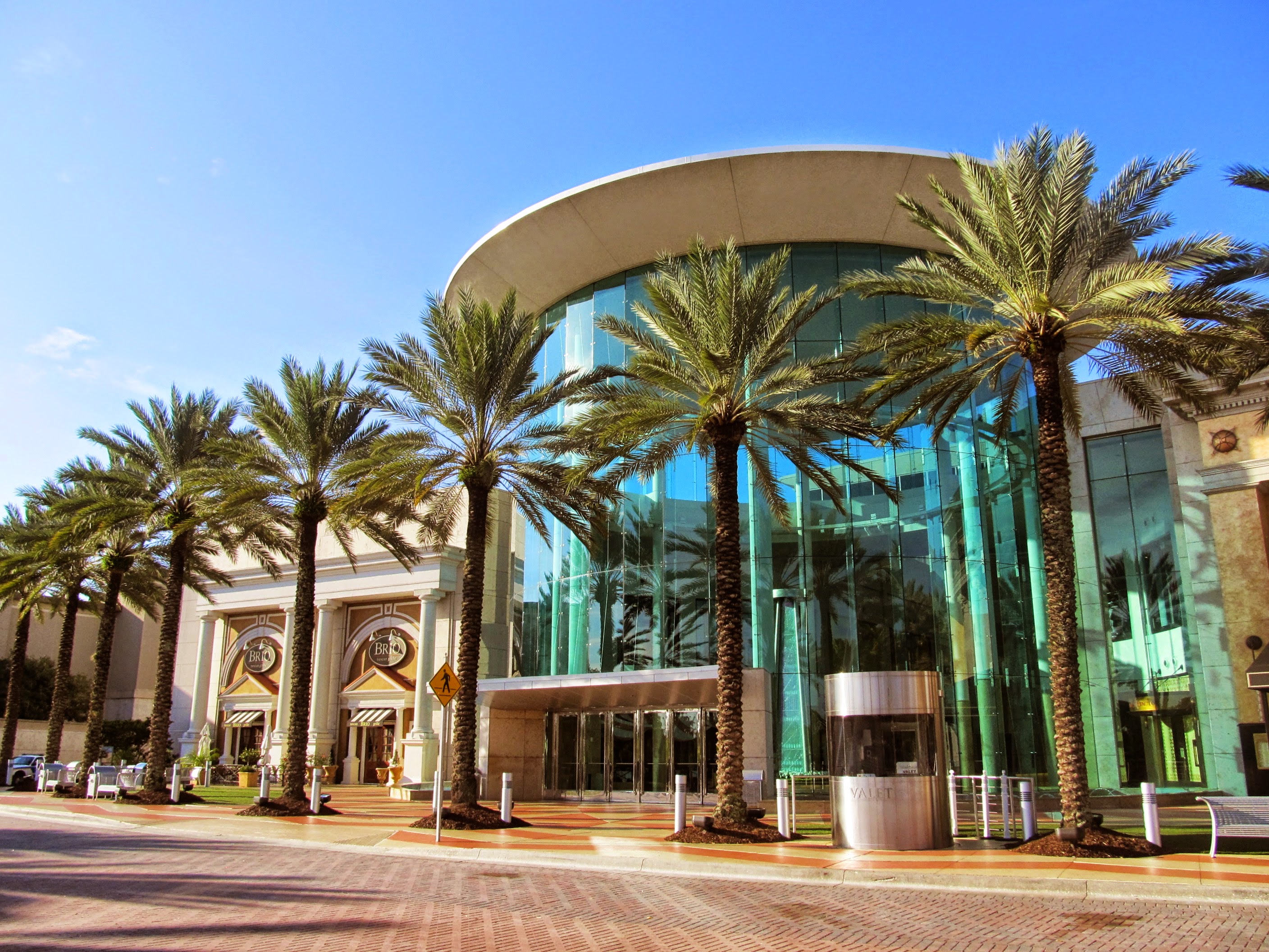Luxury Shopping Meets Orlando Energy at The Mall at Millenia 🛍️✨ | Orlando, FL