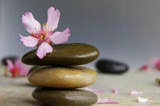Navigating Insurance & Holistic Care