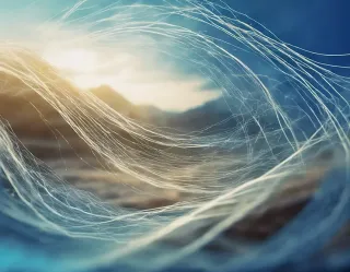 Discover Longevity Secrets: Bioenergetics Principles for Better Health