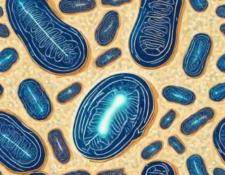 Bioenergetics for Improved Metabolic Health: A Comprehensive Guide