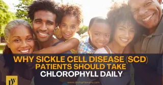 Why Sickle Cell Disease (SCD) Patients Should Take Chlorophyll Daily
