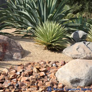 Transforming Outdoor Spaces: Landscaping in Henderson by Results Landscape