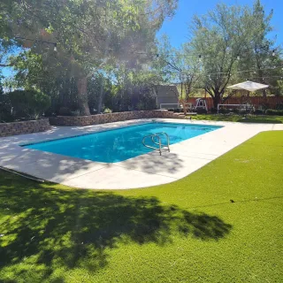 Enhance Curb Appeal With Reliable Yard Service Solutions