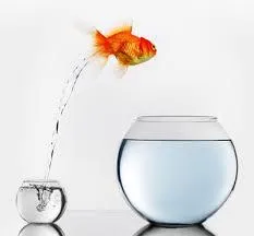 BEST WAY TO TAKE YOUR REAL ESTATE CAREER TO THE NEXT LEVEL: BECOME A MANAGING BROKER