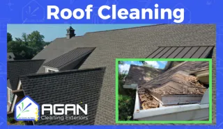 Shield Your Florida Haven: Why Roof Cleaning is Essential