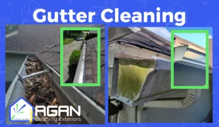 Protect Your Home: Why Gutter Cleaning is a Must-Do