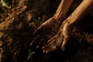 With Soil-Stained Hands