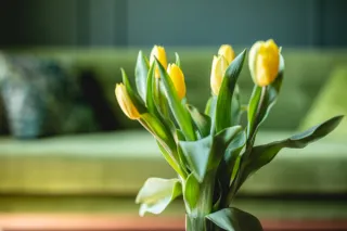 Eco-Friendly Home Staging: A Smart Choice