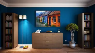 Efficient and Timely: St. Louis Furniture Removal Services Cater to Your Schedule