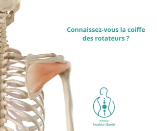 
Connaissez-vous la coiffe des rotateurs ?massothérapie ? 
