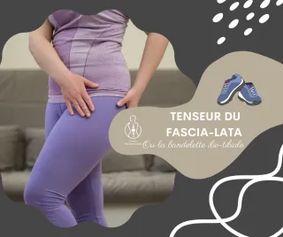 La bandelette ilio-tibiale ou Tenseur du fascia-lata (TFL) 