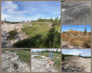 Sandy Mactaggart Sanctuary Reclamation Project | ReGen