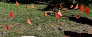 How Are Underground Pipes and Wires Found Without Digging?