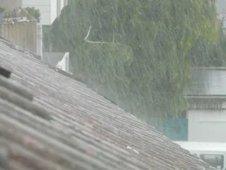 What to Do When You Discover Your Roof Is Leaking