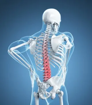 Comprehensive Guide to Core Stabilization: Why You Should Stop Focusing on Six-Pack Abs and Start Strengthening Your Core for a Healthy Lower Back