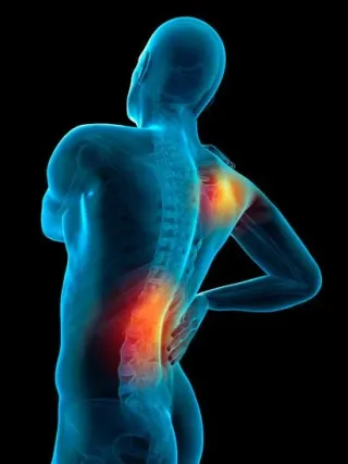 Is Your Persistent Back Pain Linked To An Internal Organ Problem?