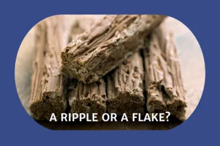 Unveiling Your True Path: Are You a Ripple or a Flake?