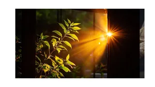 Returning to Yourself: Boundaries, Rest & Healing as We Move Toward Winter Solstice