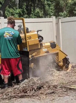 DIY Stump Removal vs Hiring a Professional in Utah