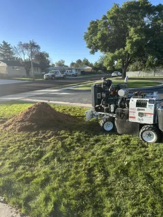 How Much Does Stump Grinding Cost in Provo, Utah?
