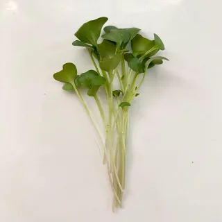 Broccoli Microgreen Nutrition