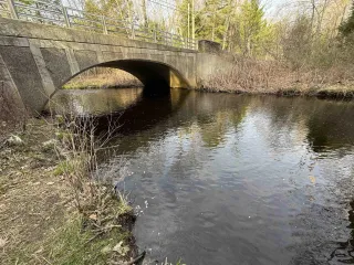 🌳 Little River Park: Hartford’s Hidden Gem in Frog Hollow