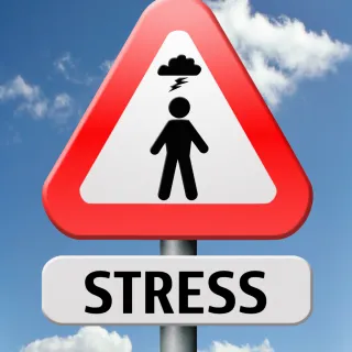 Understanding Stress: A Path to a Calmer Life for Families